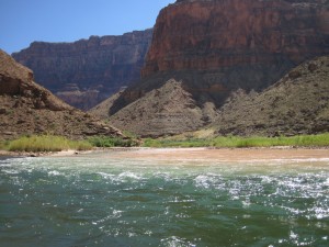 Junction with the Little Colorado River